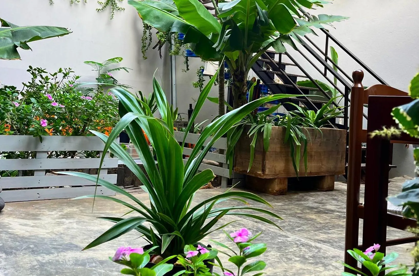 Casa De Poco Guest House And Gallery Mindelo